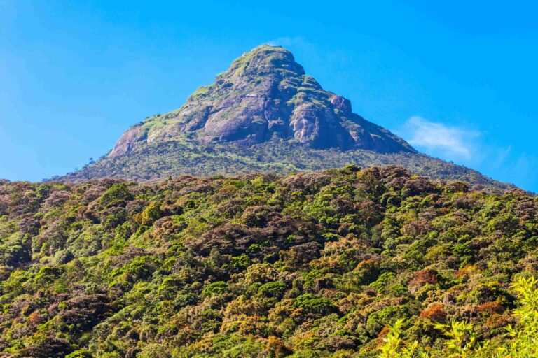 Adam’s Peak - Sri Lanka