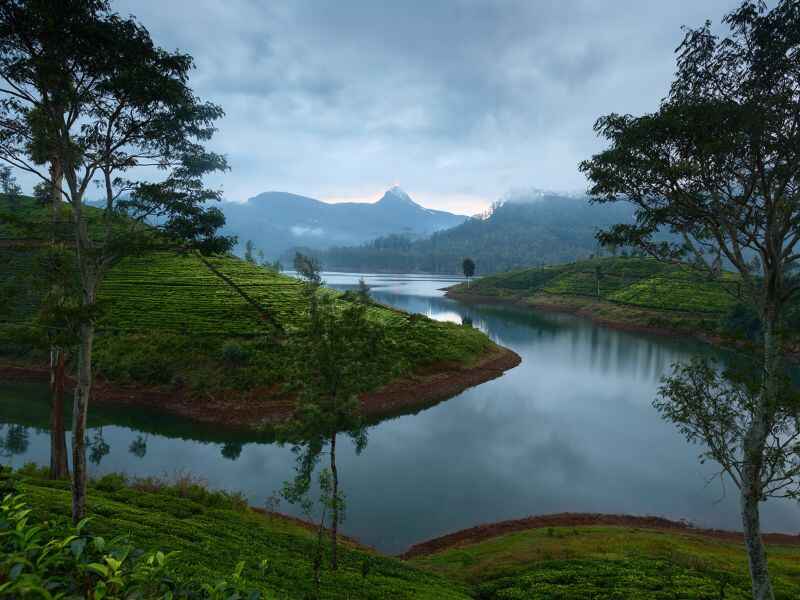 Tea state- Nuwaraeliya-Sri Lanka – crestaholidays.com