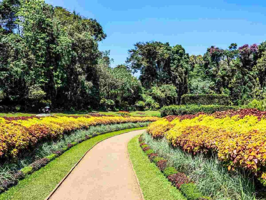 botnical garden-sri lanka-rour