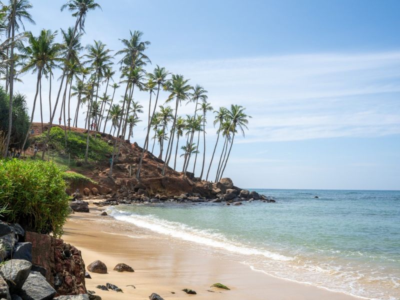 coconut tree hill-mirissa-beach-sri lanka