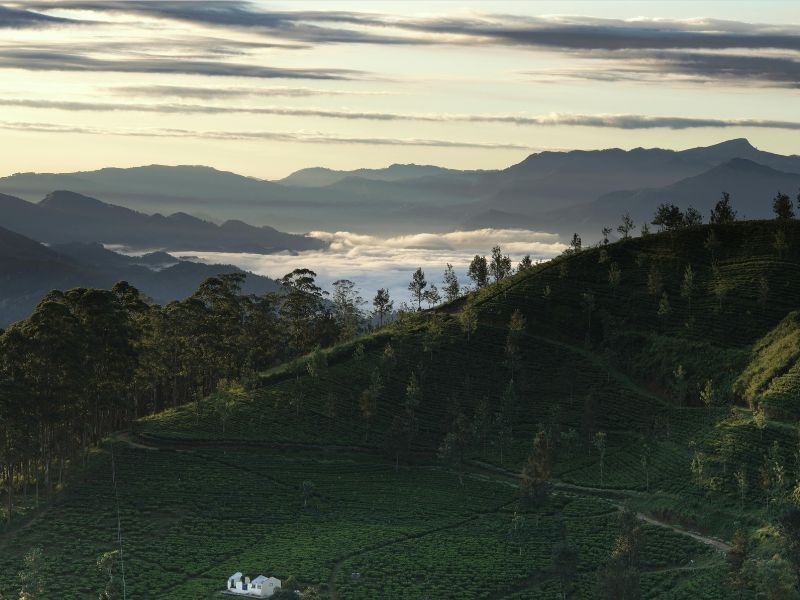 mandaramnuwara-mathale-sri lanaka