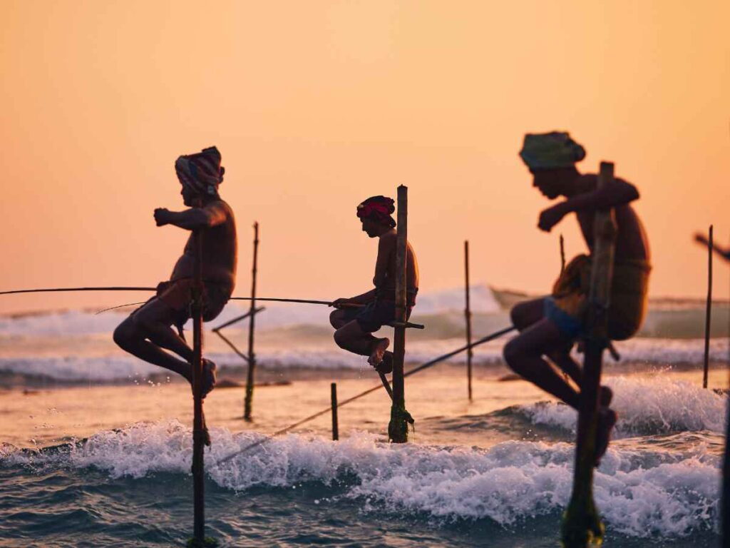 stilt fishing-sri lanka-tour