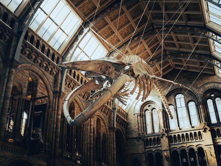 london museum - london - cresat holidays